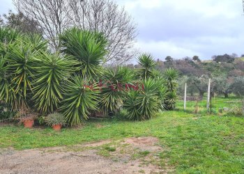 Foto 4 - Rustico Roccastrada - foto 4