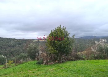 Foto 10 - Rustico Roccastrada - foto 10