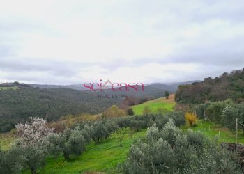 Foto 17 - Rustico Roccastrada - foto 17