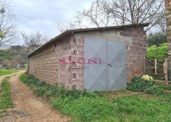 Foto 35 - Rustico Roccastrada - foto 35