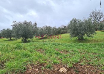 Foto 36 - Rustico Roccastrada - foto 36