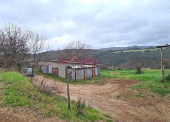 Foto 37 - Rustico Roccastrada - foto 37