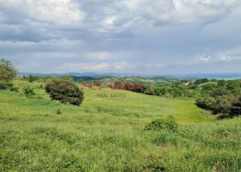 Foto 5 - Rustico Scansano - foto 5