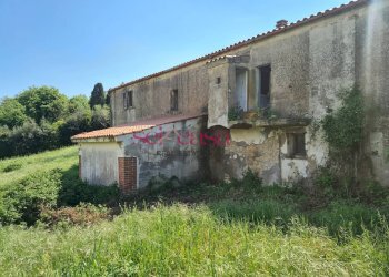 Foto 8 - Rustico Scansano - foto 8