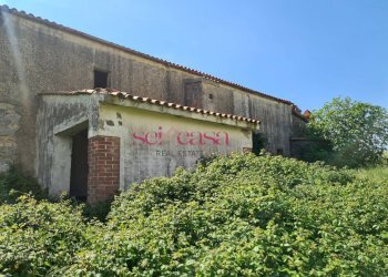 Foto 9 - Rustico Scansano - foto 9