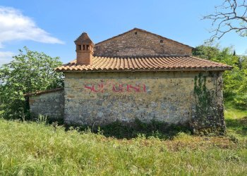 Foto 11 - Rustico Scansano - foto 11