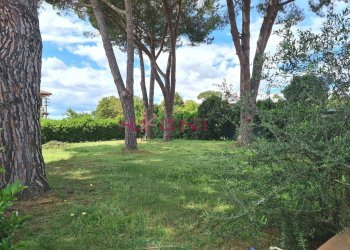 Foto 40 - Villa Grosseto - foto 40