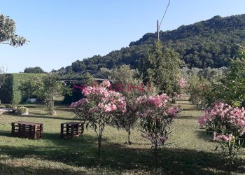 Foto 9 - Rustico Roccastrada - foto 9