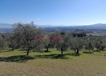 Foto 15 - Rustico Roccastrada - foto 15