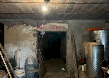 Foto 36 - Rustico Scansano - foto 36