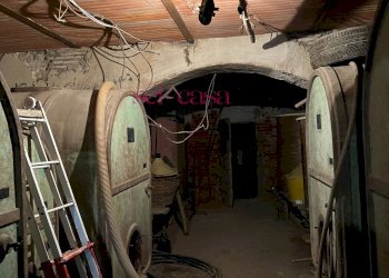 Foto 37 - Rustico Scansano - foto 37