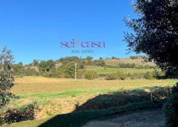 Foto 41 - Rustico Scansano - foto 41