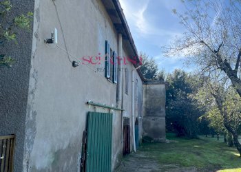 Foto 43 - Rustico Scansano - foto 43