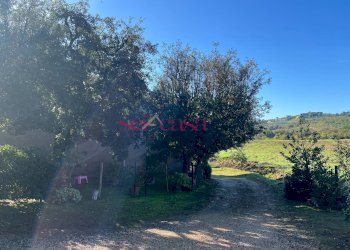 Foto 44 - Rustico Scansano - foto 44