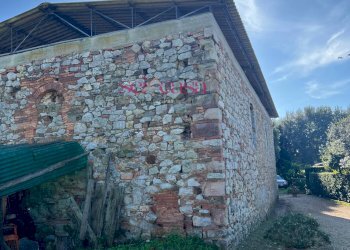 Foto 46 - Rustico Scansano - foto 46