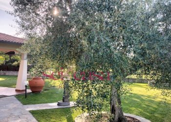 Foto 3 - Casa indipendente Grosseto - foto 3