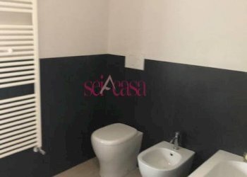 Foto 13 - Appartamento Grosseto - foto 13