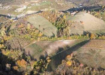 Terreno - Agricultural land via Camillo Benso di Cavour, Sinio - photo 3