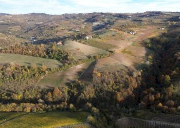 Terreno - Agricultural land via Camillo Benso di Cavour, Sinio - photo 6