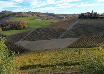 Terreno - Agricultural land via Camillo Benso di Cavour, Sinio - photo 7