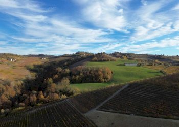 Terreno - Agricultural land via Camillo Benso di Cavour, Sinio - photo 8