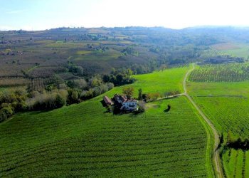 Vista - Villa via La Morra, Cherasco - foto 8