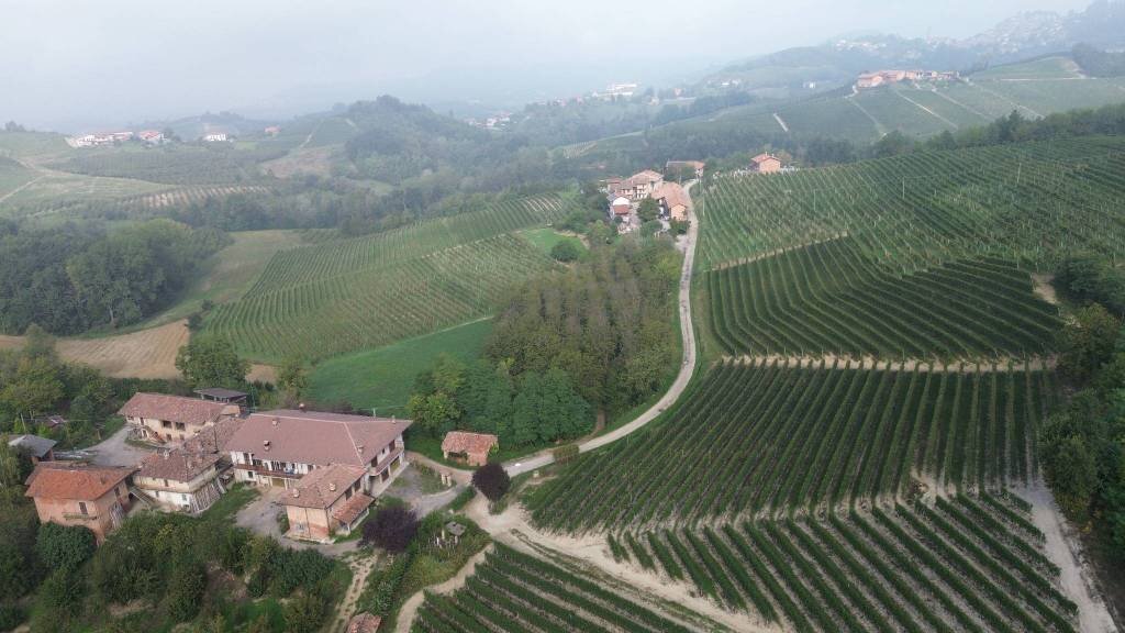 Vista - Rustico Località Sant'Anna, Monforte d'Alba - foto 2