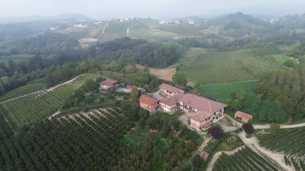 Vista - Rustico Località Sant'Anna, Monforte d'Alba - foto 3