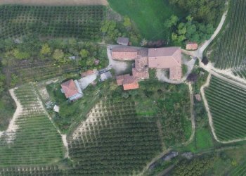 Vista - Rustico Località Sant'Anna, Monforte d'Alba - foto 4
