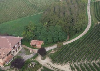 Vista - Rustico Località Sant'Anna, Monforte d'Alba - foto 5