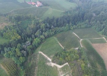 Vista - Rustico Località Sant'Anna, Monforte d'Alba - foto 7