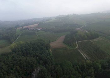 Vista - Rustico Località Sant'Anna, Monforte d'Alba - foto 8