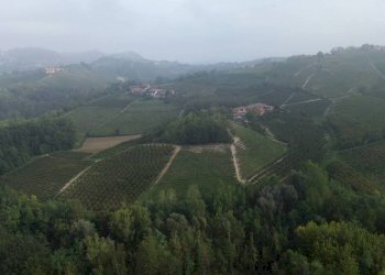 Vista - Rustico Località Sant'Anna, Monforte d'Alba - foto 9