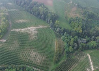 Vista - Rustico Località Sant'Anna, Monforte d'Alba - foto 10