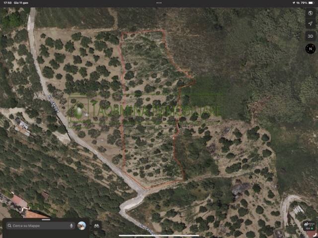 Foto 2 - Terreno agricolo Contrada Bandiera
 
s.n.c., Calatabiano - foto 2