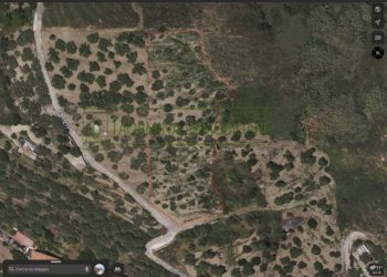 Foto 2 - Terreno agricolo Contrada Bandiera
 
s.n.c., Calatabiano - foto 2