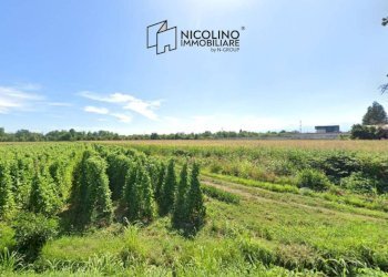 Terreno - Terreno edificabile via Torino, frazione Madonna dell'Olmo, Cuneo - foto 1