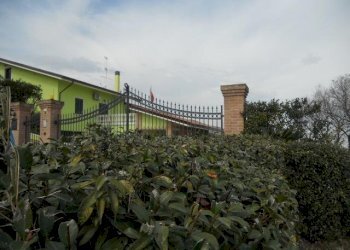 Foto 16 - Villa Via Castani, Martinsicuro - foto 16