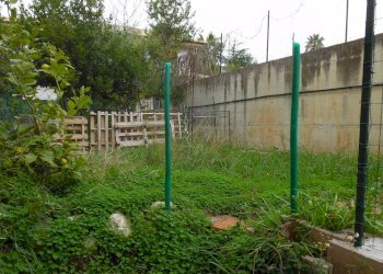 Foto 38 - Laboratorio Via Sisto  V, San Benedetto del Tronto - foto 38