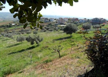 Foto 11 - Terreno edificabile Contrada Civita, Colonnella - foto 11