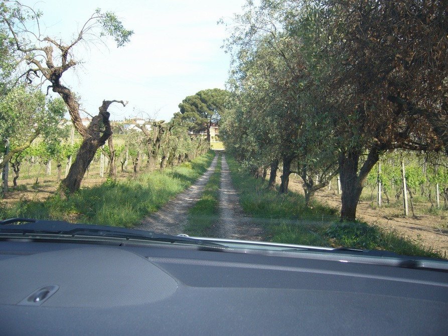 Foto 3 - Building land Fosso dei galli, Monteprandone - photo 3