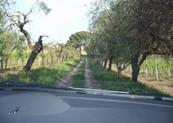 Foto 3 - Terreno edificabile Fosso dei galli, Monteprandone - foto 3