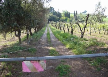 Foto 4 - Terreno edificabile Fosso dei galli, Monteprandone - foto 4