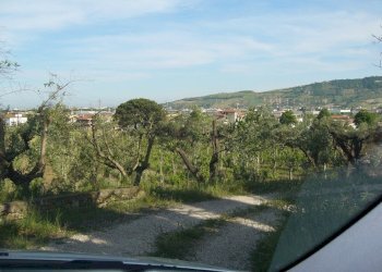 Foto 7 - Terreno edificabile Fosso dei galli, Monteprandone - foto 7