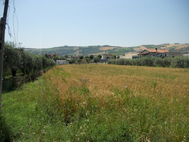 Foto 2 - Terreno edificabile Spinetoli - foto 2