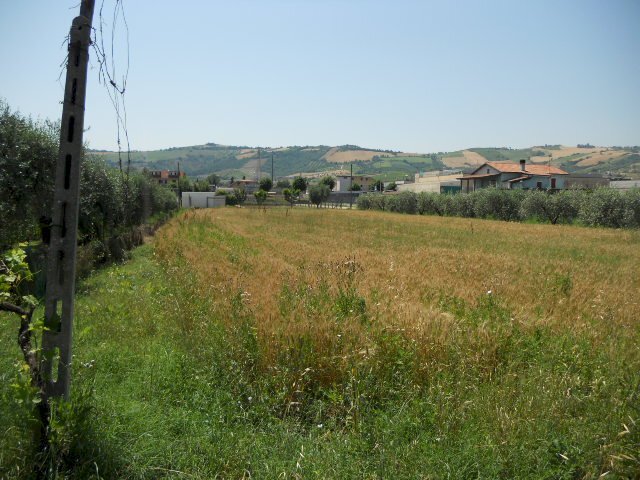 Foto 3 - Terreno edificabile Spinetoli - foto 3