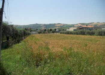 Foto 2 - Terreno edificabile Spinetoli - foto 2