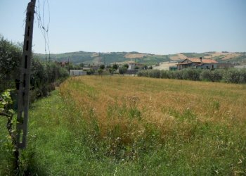 Foto 3 - Terreno edificabile Spinetoli - foto 3