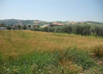 Foto 4 - Terreno edificabile Spinetoli - foto 4