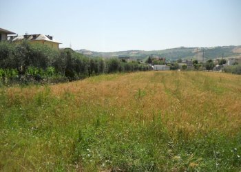 Foto 5 - Terreno edificabile Spinetoli - foto 5